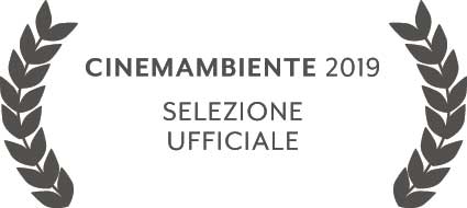 G-08-cinemambiente