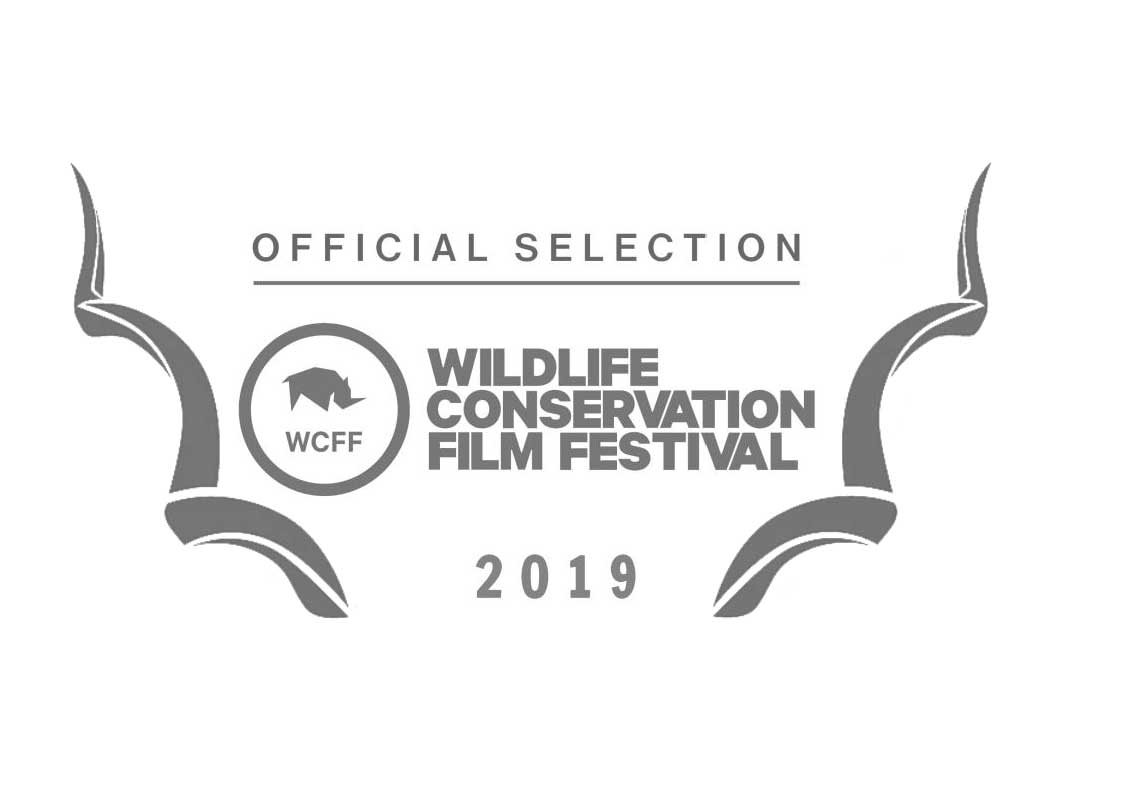 G-12-wcff